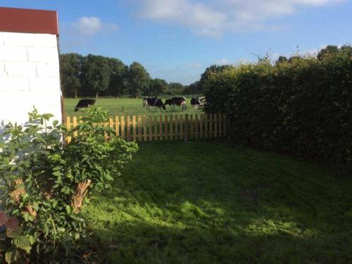 Leer House | Ferienhuus Schwalbennüst, 15183