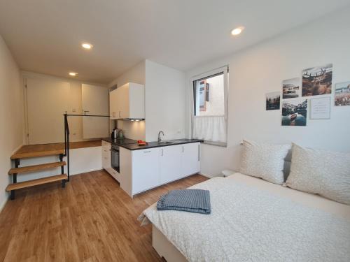 Waldkirch Apartment | Ferienwohnung an der Allee