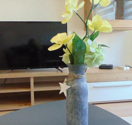 Gelenau Apartment | Ferienwohnung August 24