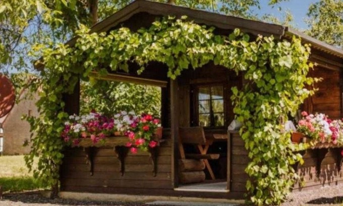 Eggolsheim Apartment | Ferienwohnung Erlwein