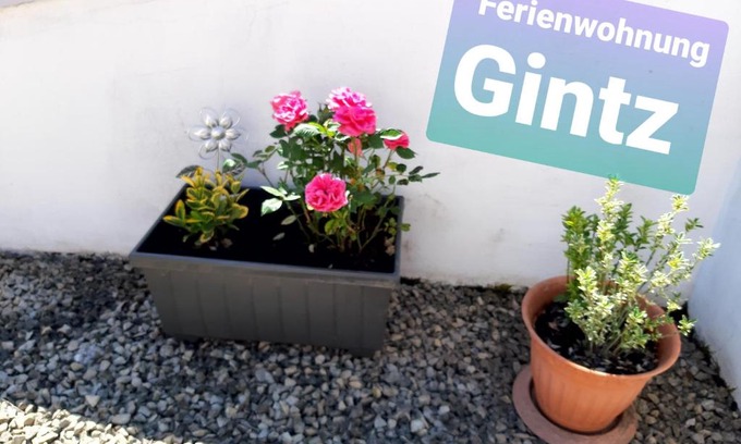 Blieskastel Apartment | Ferienwohnung Haus Gintz