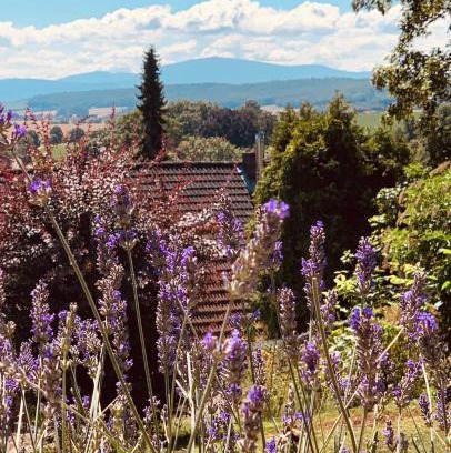 Liebenburg Apartment | Ferienwohnung „Hygge“ in Liebenburg