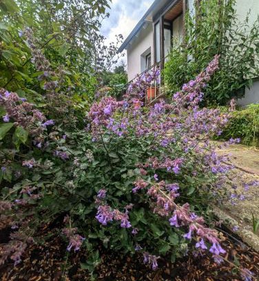 Liebenburg Apartment | FeWo Am Lewerberg