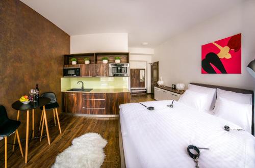Hradec Kralove Apartment | Fifty Shades of Gray studio, city center