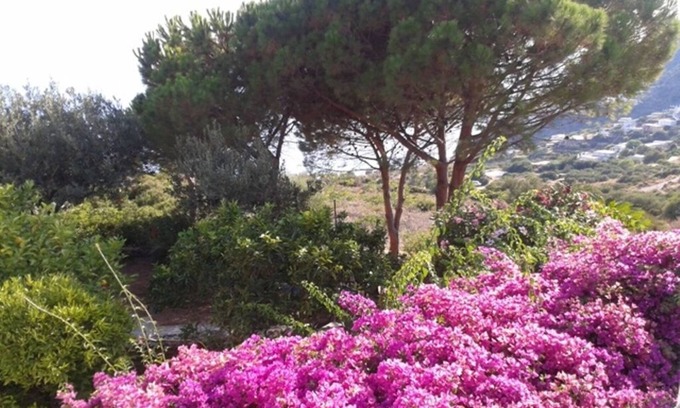 Filicudi Porto House | FILICUDI AEOLIAN HOUSE IN MANOR AEOLIAN