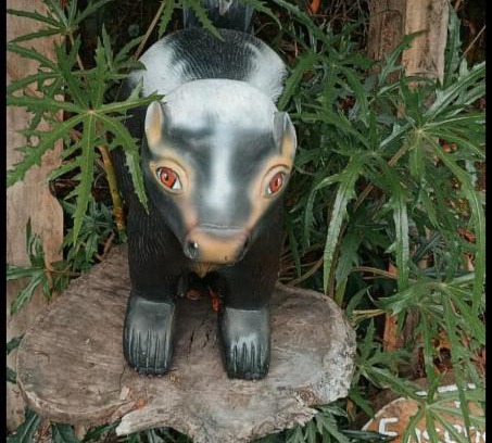 Carchi Province Apartment | Finca Rosita