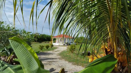 Saint-Louis House | "Fleur d'Hibiscus" Maison de charme au calme à Marie-Galante