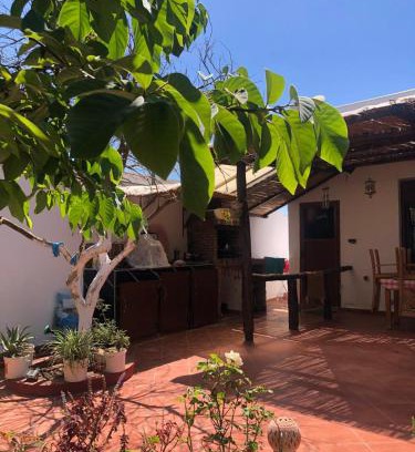 Larache House | Fluture