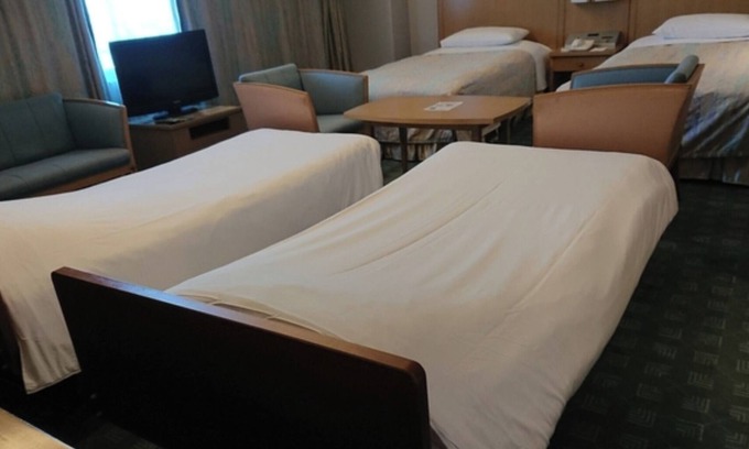 Hanno Hotel | Force A Smoking Room without meals plan Directl/Hanno Saitama