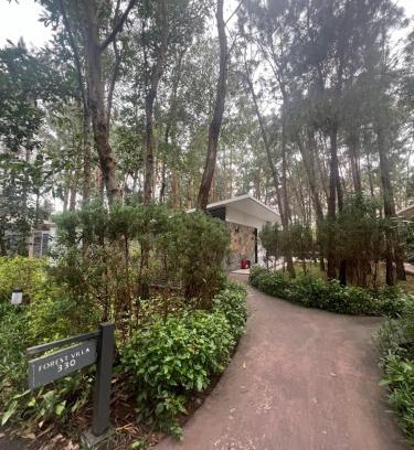 Ngoc Quang Villa | Forest Villa at Dai Lai Resort