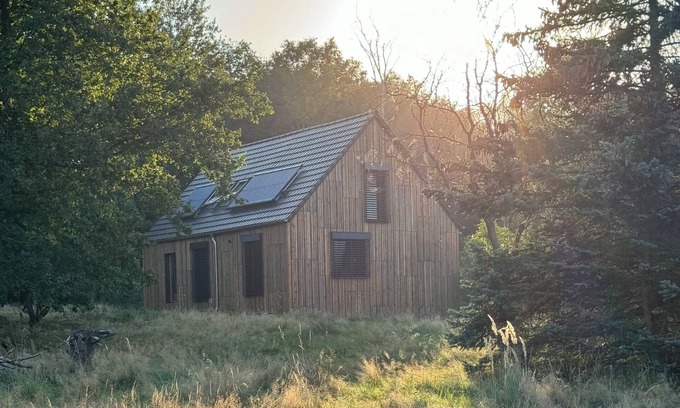 Oybin House | Foundation