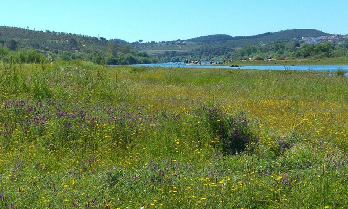 Rio de Moinhos Cottage | Friar's House