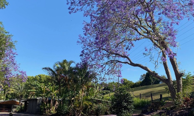 Pomona Cottage | Frog Cottage - Noosa Hinterland - Dog and Horse Friendly