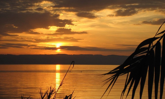 Gradoli House | Fully equipped holiday cottage in front of the Lake, surrounded by olive trees