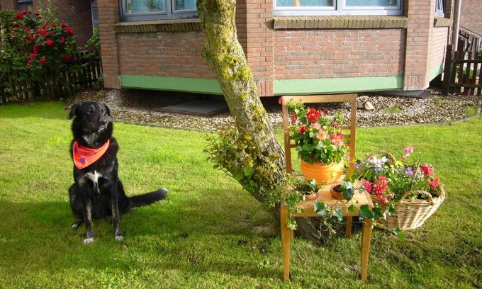 Neuharlingersiel Apartment | Gästehaus up Eck