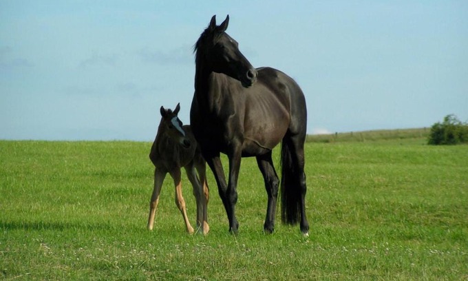 Balleville House | Gîte de Solama avec SPA