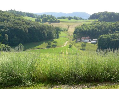 Labaroche Apartment | Gîte la Sapinière