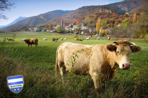 Bayons Apartment | GÎTE LA TANIÈRE DES ALPES