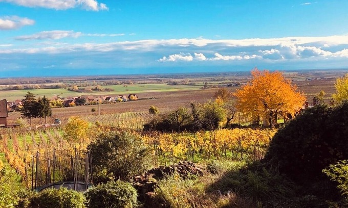 Gueberschwihr Apartment | Gîte Origin route des vins d'Alsace