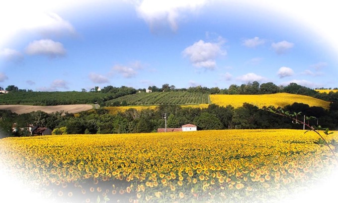 Feugarolles House | Gîtes Lencouet