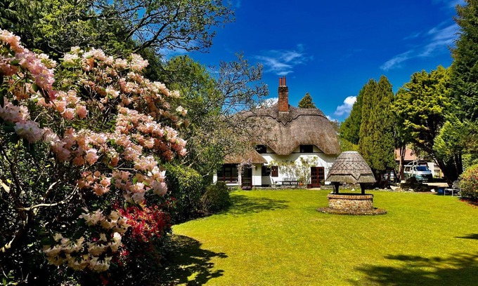 Ferndown Cottage | Galtons Cottage Dorset Thatched Cottage