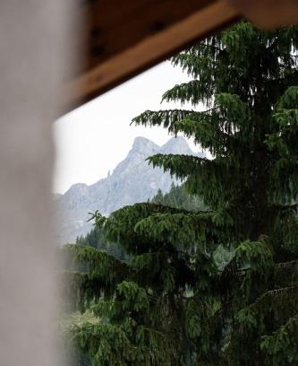 Werfenweng Hotel | Gasthof Schöntal