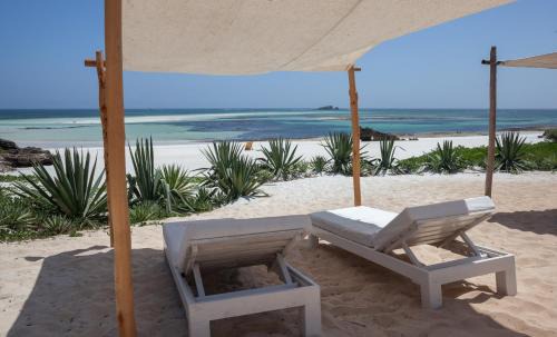 Watamu Resort | Gecko Resort