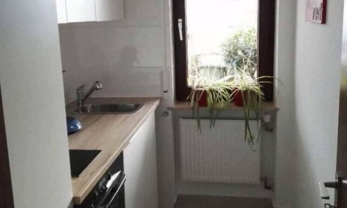 Sauserhof Apartment | Gemütliche Wohnung in Ruhiger Lage im Bottwartal