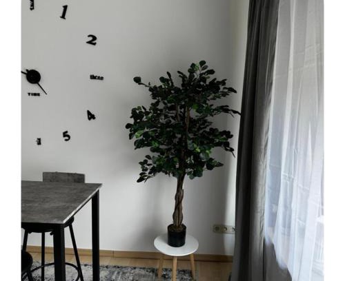 Belecke Apartment | Gemütliche Wohnung in Belecke