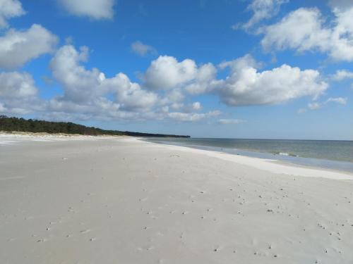 Dueodde Apartment | Gemütliche Wohnung in Strandnähe