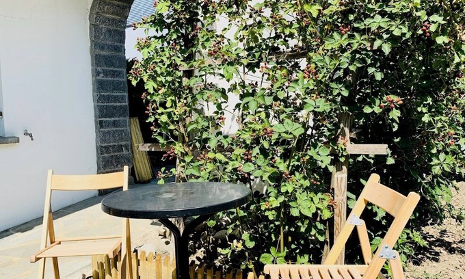 Schwarzach Apartment | Gemütliche Wohnung mit See- und Bergblick nahe Bodensee