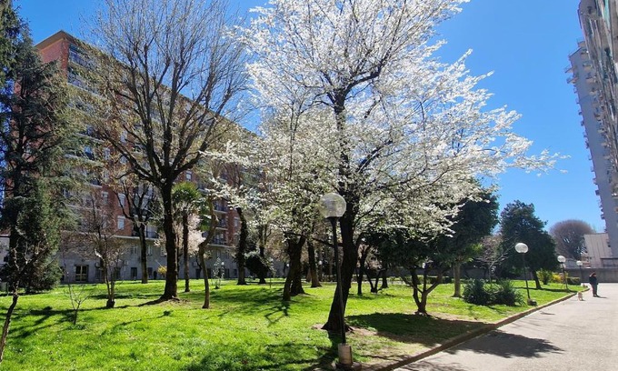 Binda Apartment | Giardino sul Naviglio
