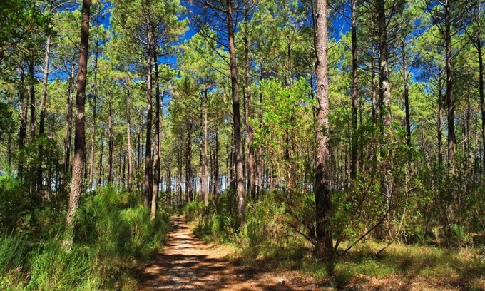 Saint-Symphorien House | Gite Airial DE Lous Crabeys