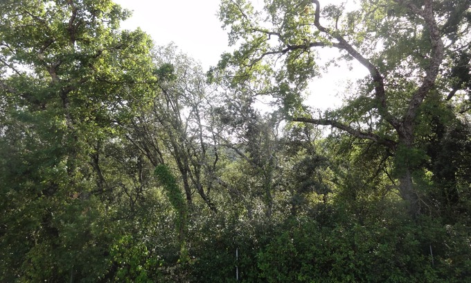 Maubec House | Gite "le Bagnol" a corner of paradise