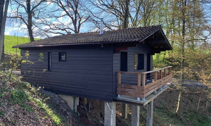 Houyet Ski Chalet | Gites Douillets: Chalet on stilts