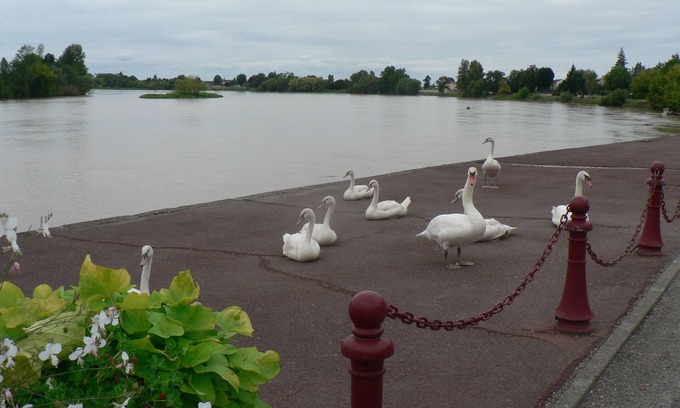 Vignonet House | Gites Face rivière Saint-Emilion