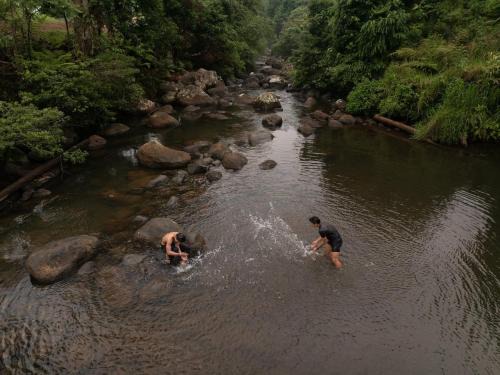 Paksong Other | Give Garden Eco ສວນສາຍທານ