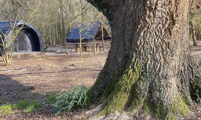 Milland Cabin | Glamping pod nestled deep within the South Downs National Park.