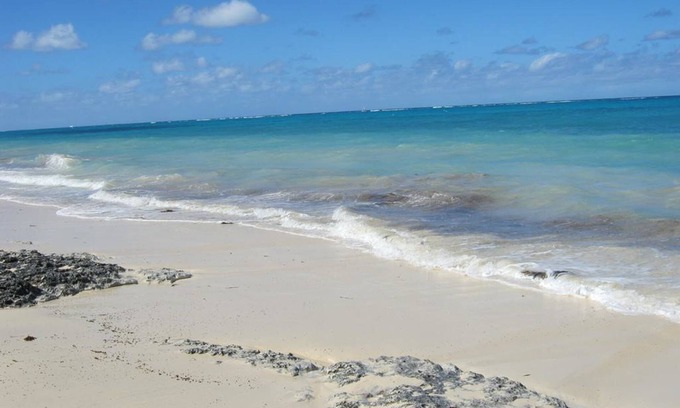 Westwind Bed & Breakfast | Golden Palms B & B