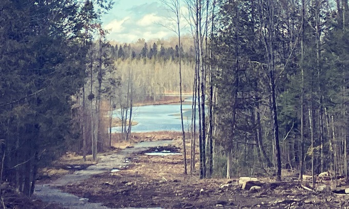 Limerick Cottage | Gorgeous Lakehouse- sitting on 7 Acres - Near Trails- WiFi- Fireplace