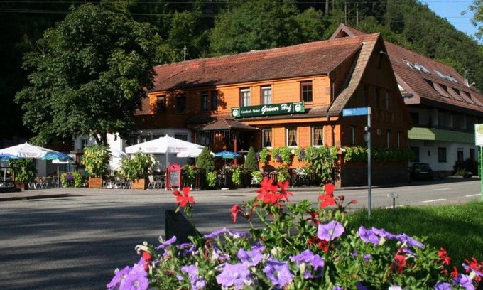 Zell am Harmersbach House | Grüner Hof