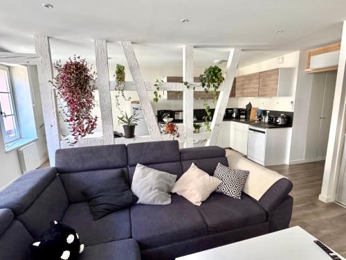 Haguenau Apartment | Grand et lumineux 2 pièces avec climatisation en zone pietonne