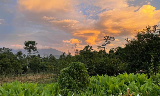 Guayabo House | Granja Integral Luz Del Corazon
