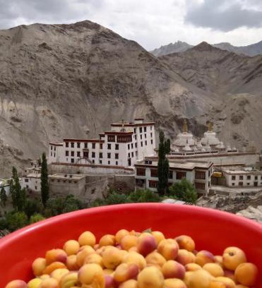 Tingmosgang House | Green Land Guest House Ladakh by LexStays