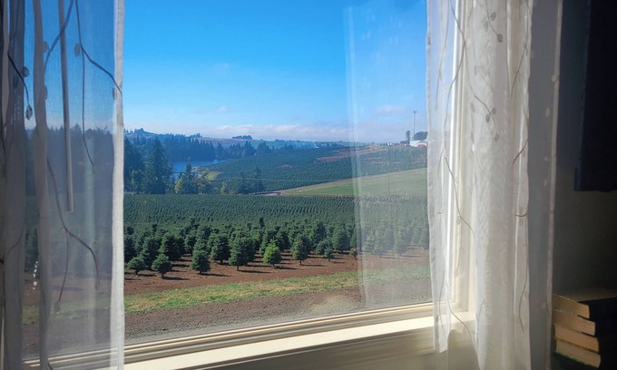 Silverton Other | Guest House at Buena Vista Lavender Farm