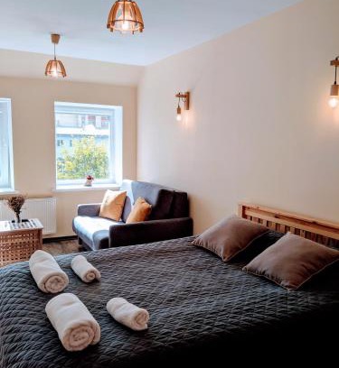 Panevezys House | Guest House Kamara