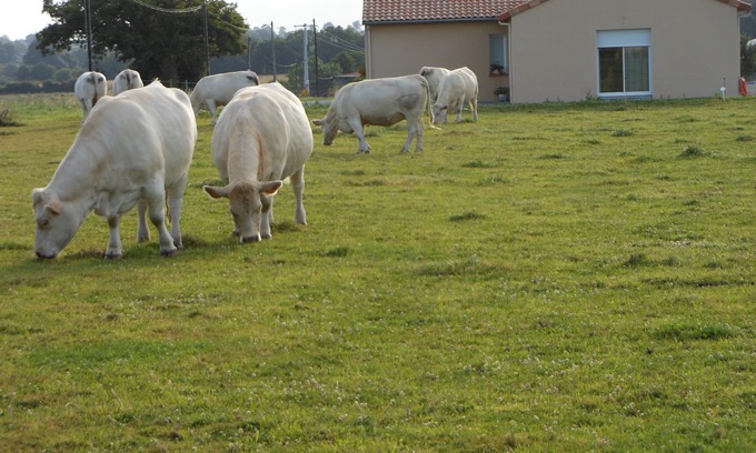 Neuvy-en-Mauges House | GUEST ROOM IN THE NEAR CHEMILLE-EN-ANJOU COUNTRYSIDE