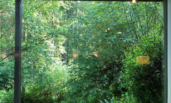 Gig Harbor House | Guest Suite (1,300+ sq. ft. /121 sq. m.)—Walk to Beach and Bridge