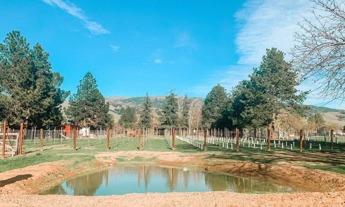 San Martin Cabin | Guesthouse Farmstay @ BarrelCreek Farm & Vineyards