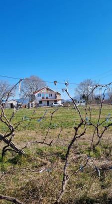 Sakës House | Guesthouse Gjegji